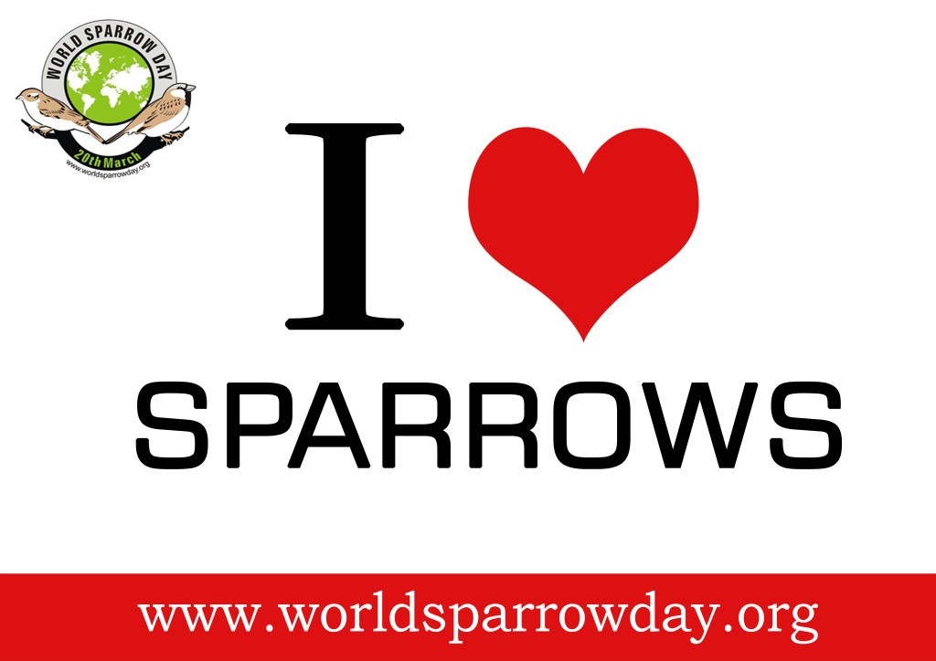 I love sparrows world sparrow day
