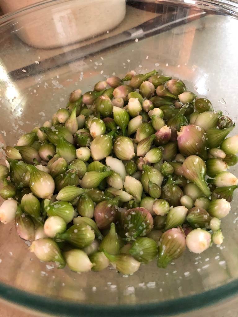 Bowl of walking onion bulbils and salt