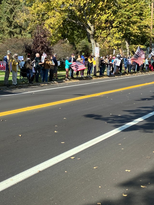 view of protesters lining the street waving American flags