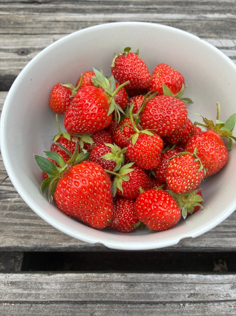 bowl of strawberries