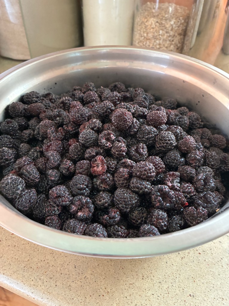 Large bowl of black raspberries