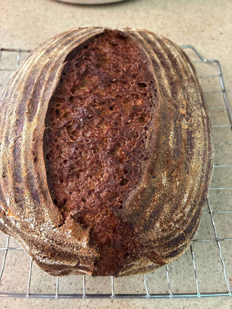 sourdough bread on cooling rack