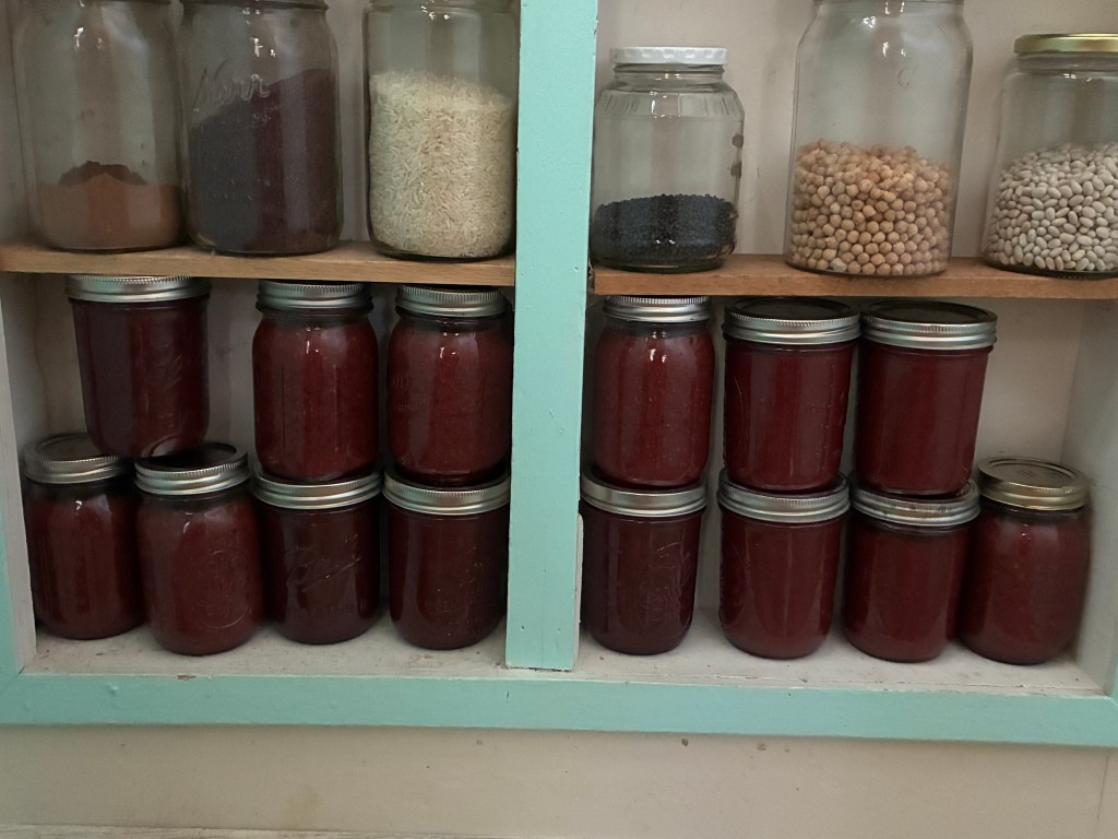 Pantry shelves with 14 pints of jam