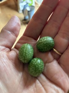 cucamelons